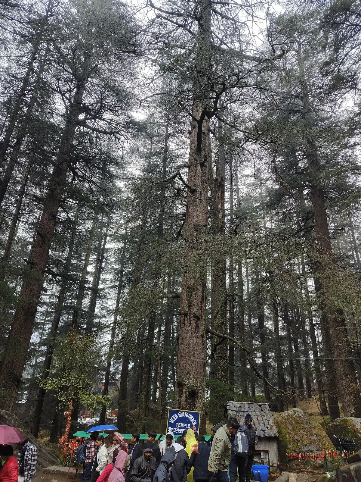 Hidimba Devi Temple