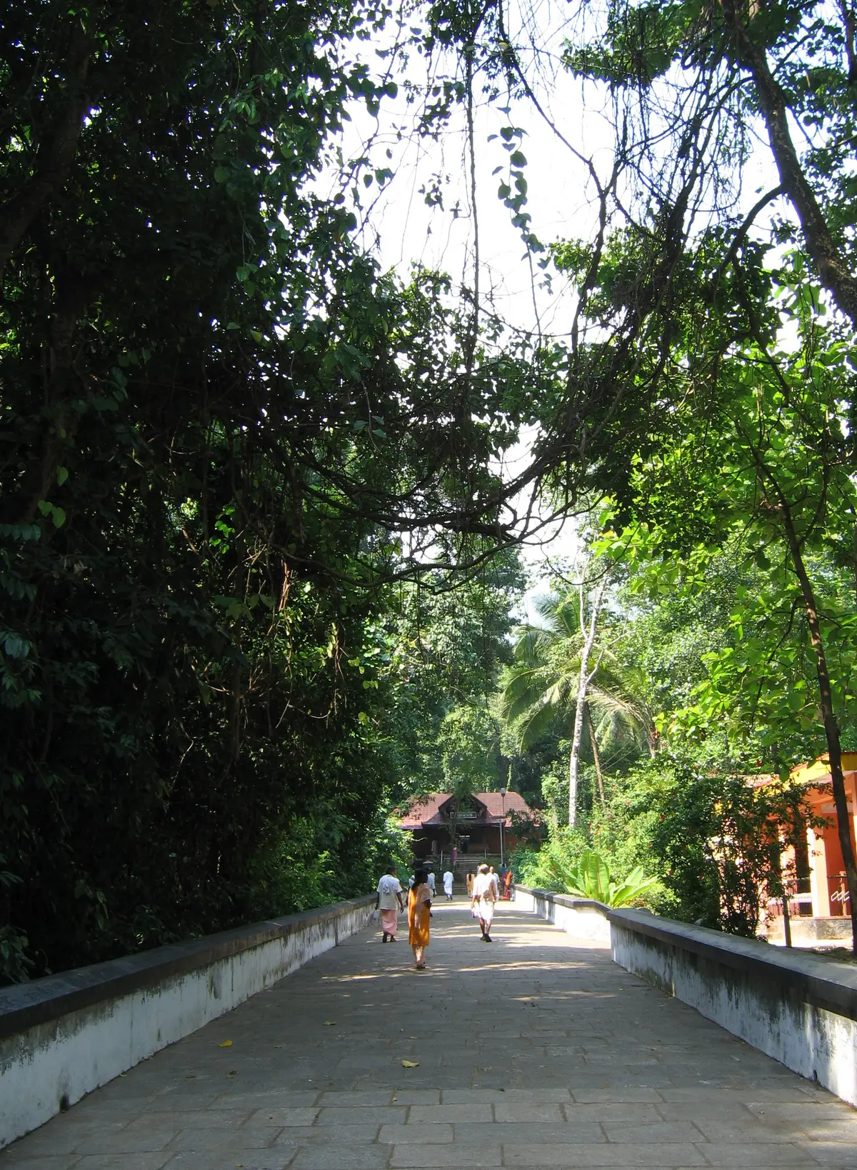 Kottiyoor Mahadeva Temple