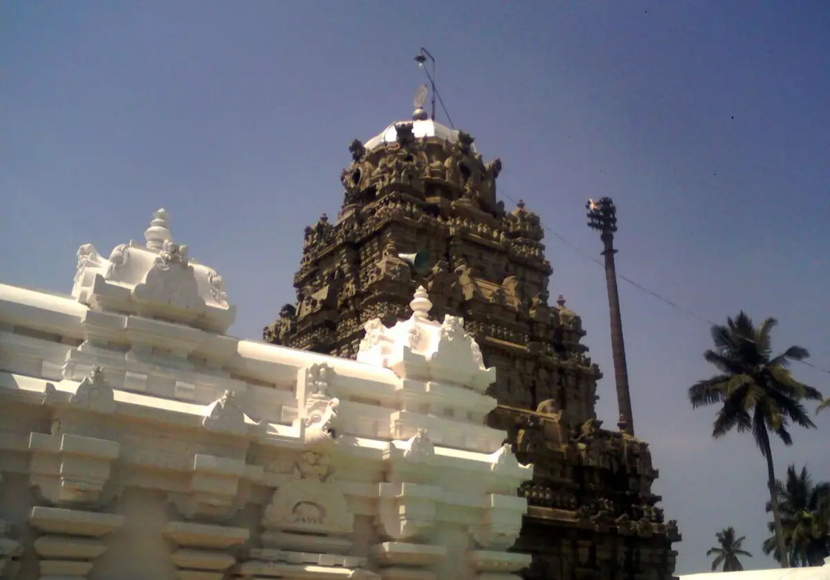 Srikurmam Temple